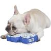 Jonathan Adler: Now House Canvas Terrazzo Elephant Chew Toy | Adorable Animal Fabric Chew Toy for Dogs, Great Addition to Your Dog Toy Bin or Dog Toy Basket