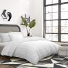 Now House by Jonathan Adler Super Graphic Printed Canvas I, 24″ x 24″