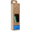 Now House for Pets by Jonathan Adler Jonathan Adler: Now House Green Chroma Collar, Small | Stylish and Fashionable Way to Keep Your Dog Looking Great | Cute and Adorable Dog Accessories for Pets(Chromatic)