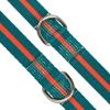 Now House for Pets by Jonathan Adler Now House Green Chroma Standard Lead 6′ | Stylish and Functional Way to Keep Your Dog Looking Great | Cute and Adorable Dog Accessories for Pets, Chromatic(Leopard)