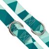 Now House for Pets by Jonathan Adler Now House Green Chroma Standard Lead 6′ | Stylish and Functional Way to Keep Your Dog Looking Great | Cute and Adorable Dog Accessories for Pets, Chromatic(Chromatic)
