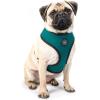 Now House for Pets by Jonathan Adler Pets Reversible Harness – Stylish, Fashionable, and Functional – Cute Dog Accessories for Pets, Cute Dog Harness, Dog Walking Harness, Pet Harness for Dogs(Leopard)