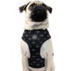 Now House for Pets by Jonathan Adler Pets Reversible Harness – Stylish, Fashionable, and Functional – Cute Dog Accessories for Pets, Cute Dog Harness, Dog Walking Harness, Pet Harness for Dogs(Black)
