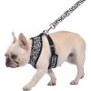 Now House for Pets by Jonathan Adler Pets Reversible Harness – Stylish, Fashionable, and Functional – Cute Dog Accessories for Pets, Cute Dog Harness, Dog Walking Harness, Pet Harness for Dogs(Leopard)