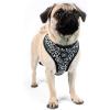 Now House for Pets by Jonathan Adler Pets Reversible Harness – Stylish, Fashionable, and Functional – Cute Dog Accessories for Pets, Cute Dog Harness, Dog Walking Harness, Pet Harness for Dogs(Leopard)