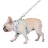 Now House for Pets by Jonathan Adler Pets Reversible Harness – Stylish, Fashionable, and Functional – Cute Dog Accessories for Pets, Cute Dog Harness, Dog Walking Harness, Pet Harness for Dogs(Blue)
