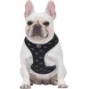 Now House for Pets by Jonathan Adler Pets Reversible Harness – Stylish, Fashionable, and Functional – Cute Dog Accessories for Pets, Cute Dog Harness, Dog Walking Harness, Pet Harness for Dogs(Black)