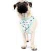 Now House for Pets by Jonathan Adler Pets Reversible Harness – Stylish, Fashionable, and Functional – Cute Dog Accessories for Pets, Cute Dog Harness, Dog Walking Harness, Pet Harness for Dogs(Blue)
