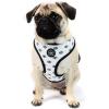 Now House for Pets by Jonathan Adler Pets Reversible Harness – Stylish, Fashionable, and Functional – Cute Dog Accessories for Pets, Cute Dog Harness, Dog Walking Harness, Pet Harness for Dogs(Black)