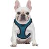 Now House for Pets by Jonathan Adler Pets Reversible Harness – Stylish, Fashionable, and Functional – Cute Dog Accessories for Pets, Cute Dog Harness, Dog Walking Harness, Pet Harness for Dogs(Leopard)